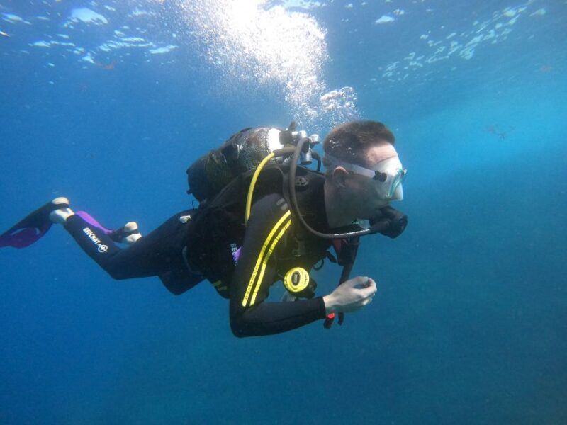 Tenerife: Puerto Colon Discover Scuba Diving Trip - No Turtle Sightings Guarantee
