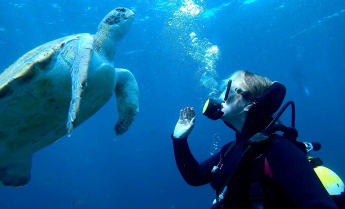 Tenerife: Puerto Colon Discover Scuba Diving Trip - Frequently Asked Questions