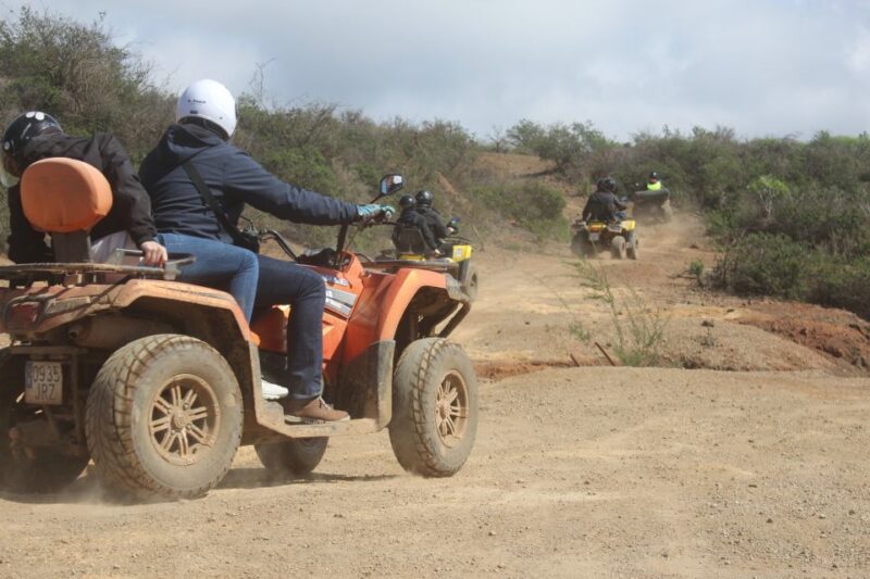 Tenerife: Quad Bike Off-Road Adventure - Tour Highlights and Experience