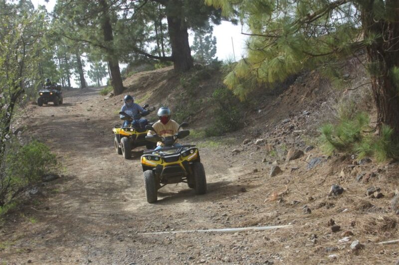 Tenerife: Quad Bike Off-Road Adventure - What to Expect on the Quad Bike Tour