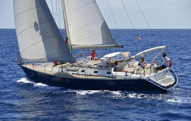Tenerife: Sailing Excursion With Whale and Dolphin Watching - Key Points