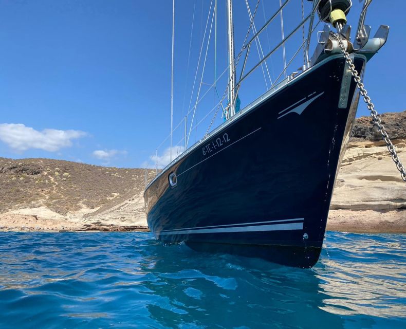 Tenerife: Sailing Excursion With Whale and Dolphin Watching - Parking Options at the Port