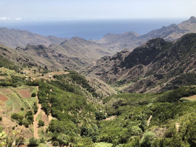 Tenerife: Santa Cruz, La Laguna and Anaga Tour - Pickup Organization