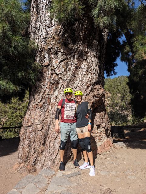 Tenerife: Scenic Biking Tour With Wine and Cheese - Itinerary