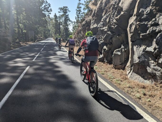 Tenerife: Scenic Biking Tour With Wine and Cheese - Wine and Cheese Tasting