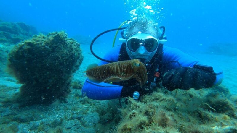 Tenerife: Scuba Diving Lesson and Abades Protected Area Dive - Who the Experience Is Not Suitable for
