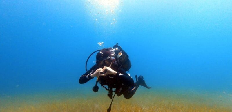 Tenerife: Scuba Diving Lesson and Abades Protected Area Dive - Depth and Duration of the Dive