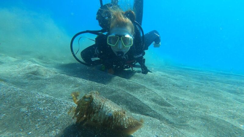 Tenerife: Scuba Diving Lesson and Abades Protected Area Dive - Instructor Languages
