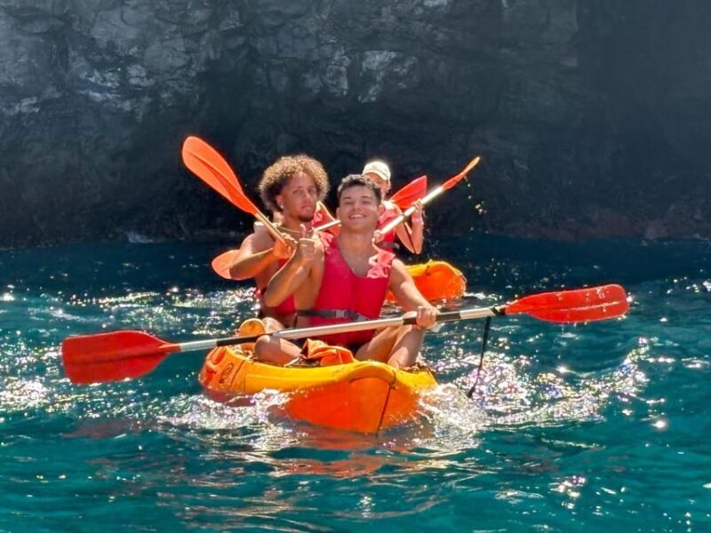 Tenerife: Snorkeling and Kayaking With Marine Life in Palm Mar - Key Points