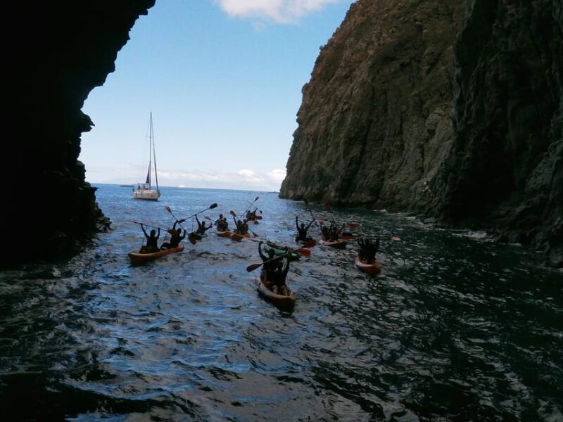 Tenerife: Snorkeling and Kayaking With Marine Life in Palm Mar - Capturing Memorable Moments With Photo Stops