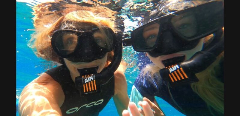 Tenerife: Snorkeling Tour in a Marine Protected Area - Exploring the Marine Wildlife