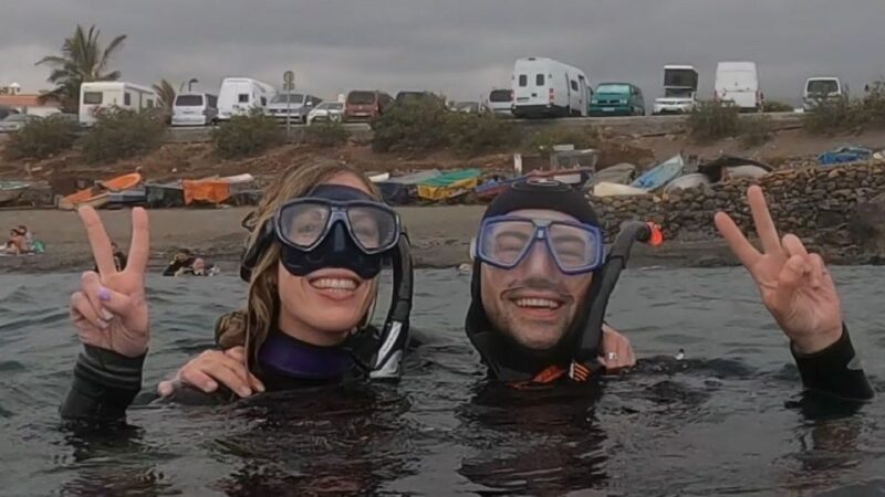 Tenerife: Snorkeling Tour in a Marine Protected Area - Experience Highlights
