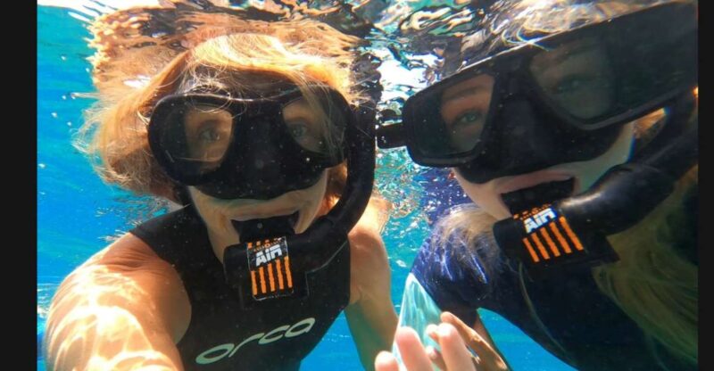 Tenerife: Snorkeling Tour in a Marine Protected Area - Safety and Accessibility
