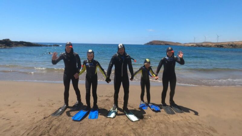 Tenerife: Snorkeling Tour in a Marine Protected Area - Customer Feedback and Ratings