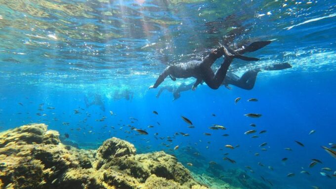 Tenerife: Snorkeling Tour in a Marine Protected Area - Gear Included and Provided