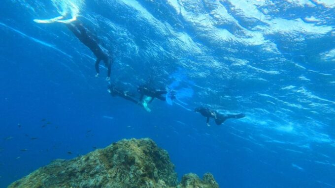 Tenerife: Snorkeling Tour in a Marine Protected Area - Frequently Asked Questions