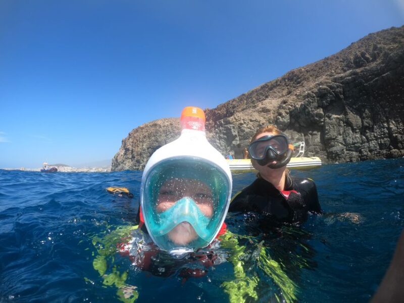Tenerife: Snorkeling Trip in a Turtle Habitat - Experience and Itinerary