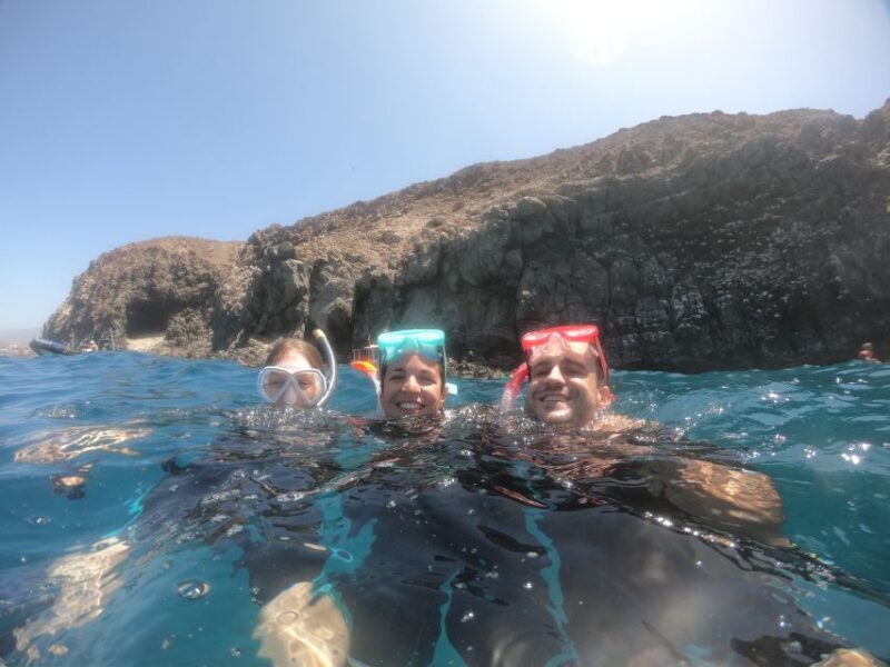Tenerife: Snorkeling Trip in a Turtle Habitat - Inclusions and Requirements