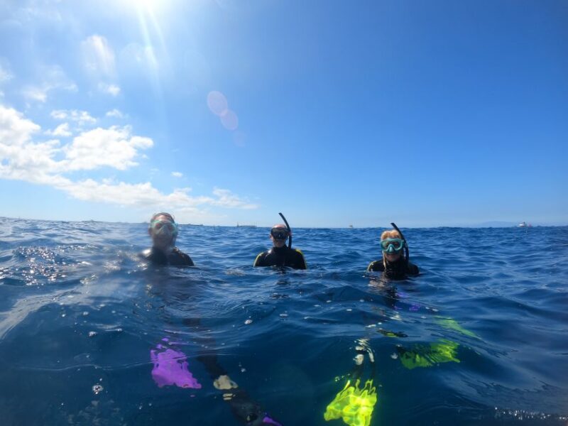 Tenerife: Snorkeling Trip in a Turtle Habitat - Customer Feedback