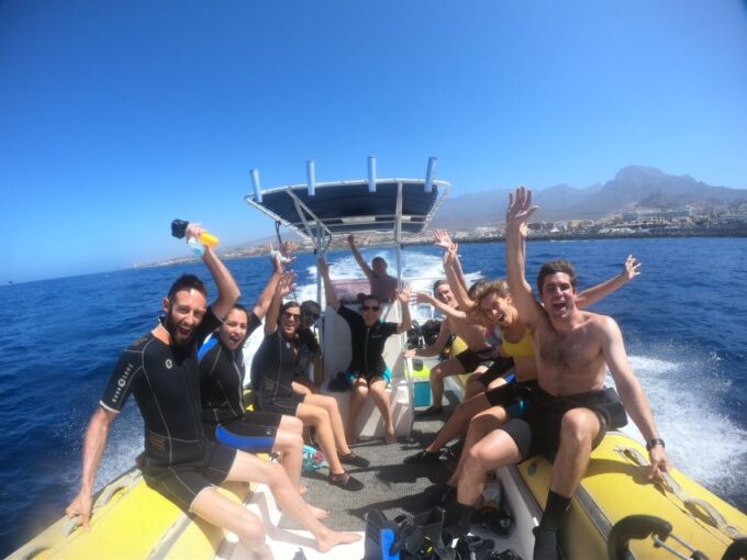 Tenerife: Snorkeling Trip in a Turtle Habitat - Recap