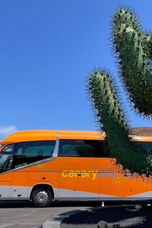 Tenerife South Airport: Bus Transfer to Los Cristianos - Booking and Payment Options