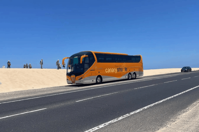 Tenerife South Airport: Bus Transfer to Los Cristianos - Meeting Point