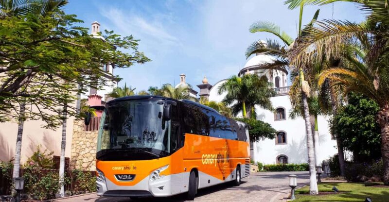 Tenerife South Airport: Bus Transfer to Puerto De La Cruz - Ticket Information