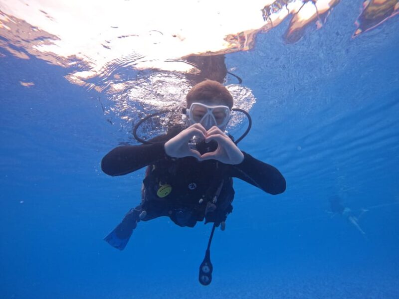 Tenerife South: Diving for Beginners in Adeje - Itinerary and Activities Overview