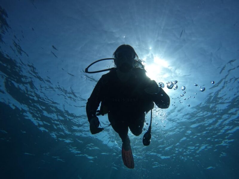 Tenerife South: Diving for Beginners in Adeje - Age Eligibility and Considerations