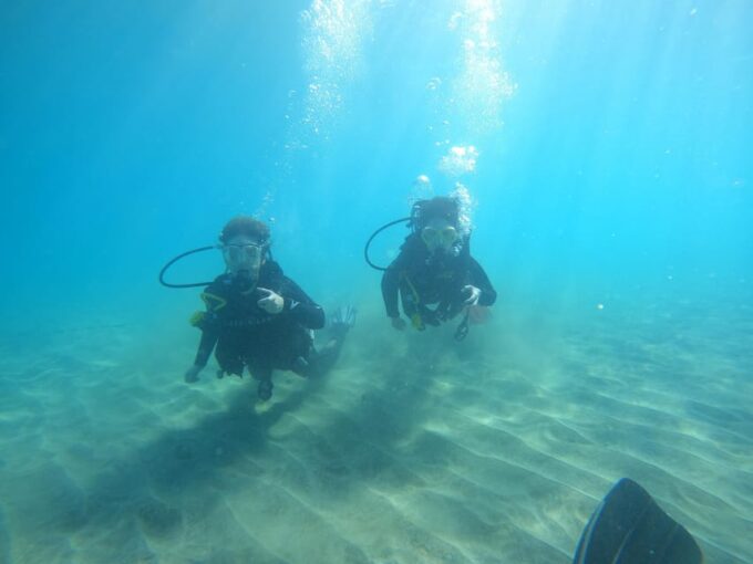 Tenerife South: Diving for Beginners in Adeje - Frequently Asked Questions