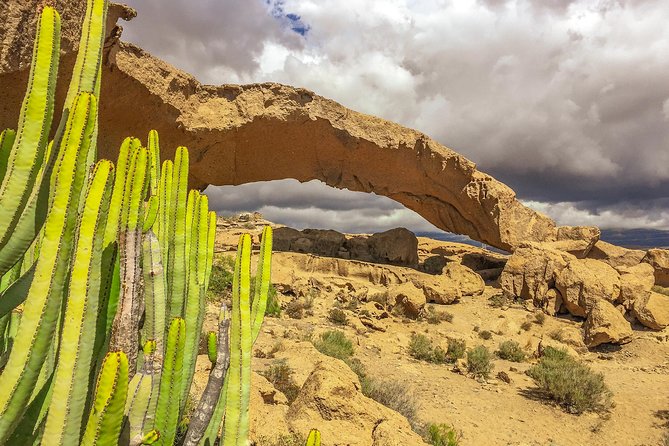 Tenerife South Private Tour: Secrets of the Volcanoes - Coastal Towns and Viewpoints