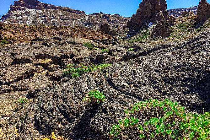 Tenerife South Private Tour: Secrets of the Volcanoes - Volcanic Formations Showcase