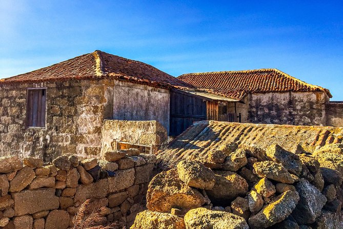 Tenerife South Private Tour: Secrets of the Volcanoes - Private Guides Insights