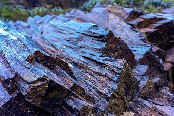 Tenerife South Private Tour: Secrets of the Volcanoes - Tour Requirements and Accessibility