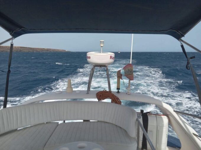 Tenerife South: Safari With Luxury Boat, Animal Encounters - Why Choose This Excursion