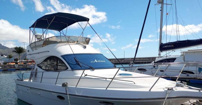 Tenerife South: Safari With Luxury Boat, Animal Encounters - Pricing and Booking