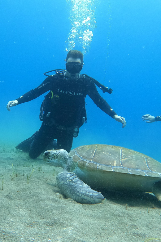 Tenerife South: Scuba Dive for Beginners in Adeje - Discover Scuba Diving Course