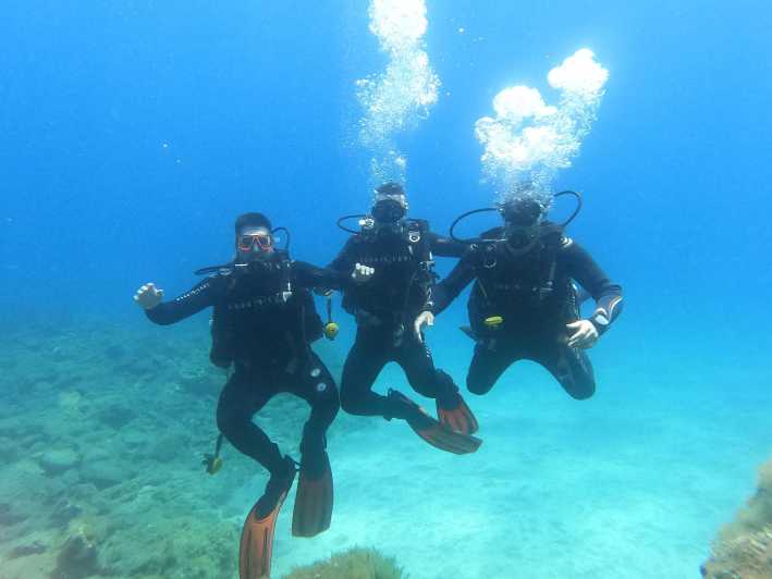 Tenerife South: Scuba Dive for Beginners in Adeje - Course Curriculum and Duration