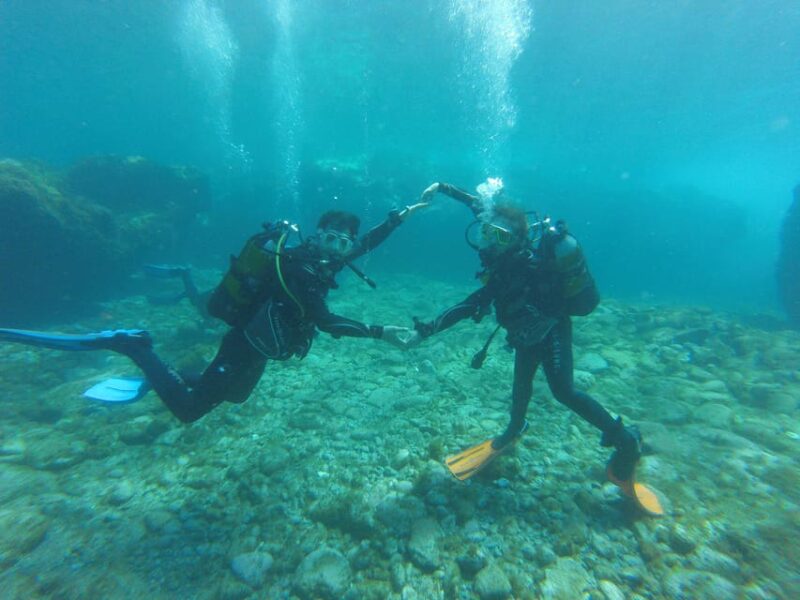 Tenerife South: Scuba Dive for Beginners in Adeje - Safety Measures and Diving Equipment