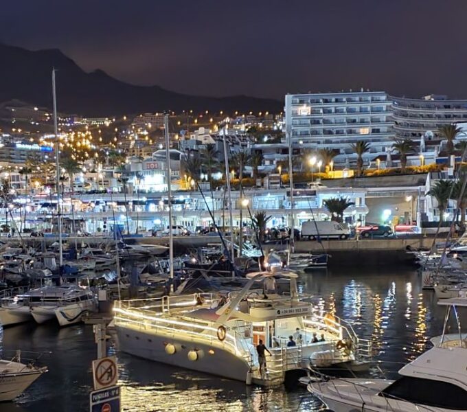 Tenerife: Sunset Catamaran Tour With Transfer, Buff & Drinks - Whale and Dolphin Watching