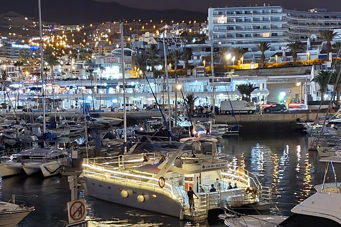 Tenerife Sunset Catamaran Tour With Transfer - Food and Drinks Included. - Included in the Experience
