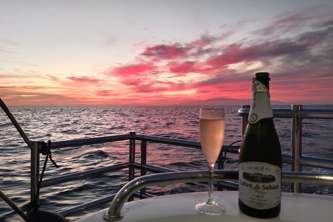 Tenerife Sunset Catamaran Tour With Transfer - Food and Drinks Included. - Cancellation and Refund Policy