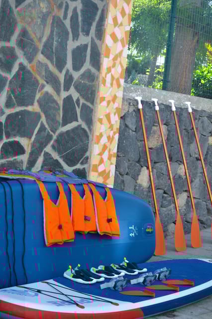 TENERIFE SUR: Paddleboarding Tour and SNORKEL - Customer Reviews and Testimonials