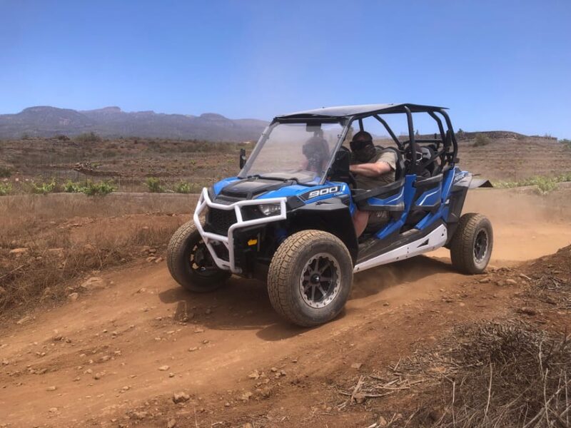 Tenerife: Teide 4-seat Buggy Tour & Wine Tasting (No Pick Up) - Vineyard Experience