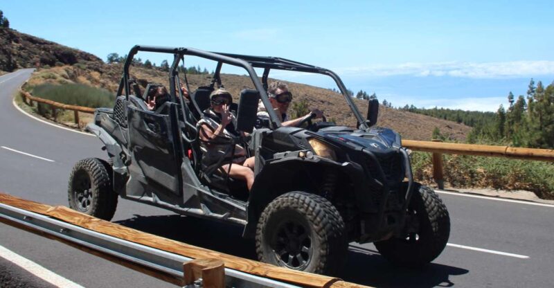 Tenerife: Teide Guided Family Morning or Sunset Buggy Tour - Unique Flora and Fauna