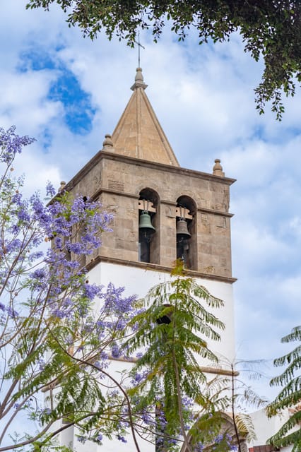 Tenerife: Teide, La Orotava, Icod De Los Vinos - Tour Guide and Transportation