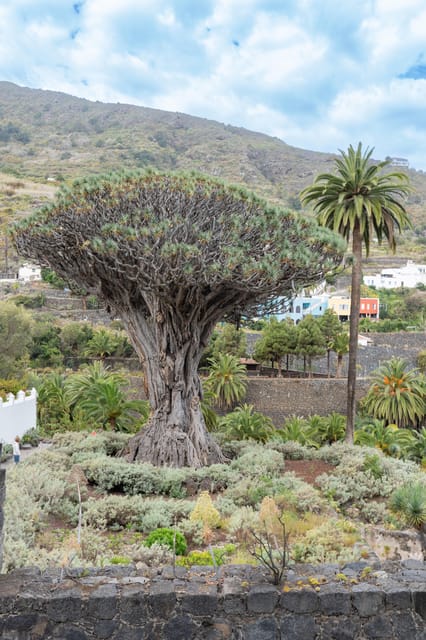 Tenerife: Teide, La Orotava, Icod De Los Vinos - Frequently Asked Questions