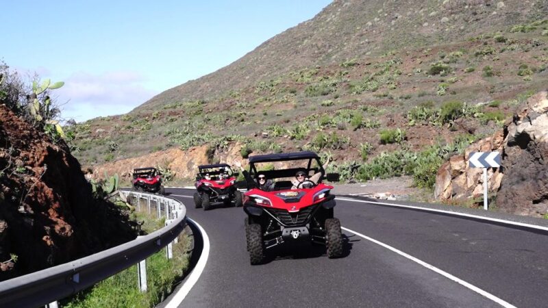 Tenerife: Teide National Park Guided Buggy Tour - Inclusions and Offerings