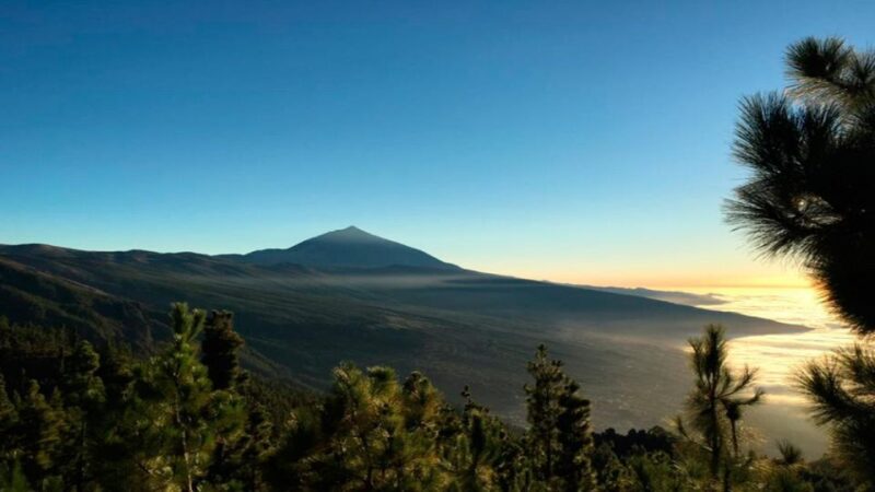 Tenerife: Teide National Park Guided Full-Day Trip by Bus - Key Points