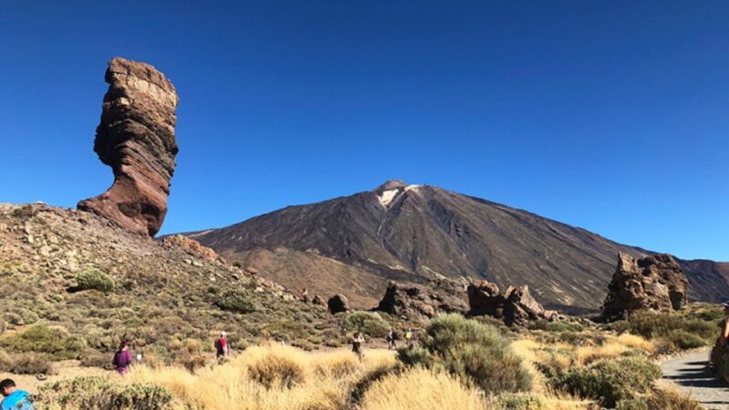 Tenerife: Teide National Park Guided Full-Day Trip by Bus - Transportation and Accessibility